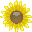 page icon